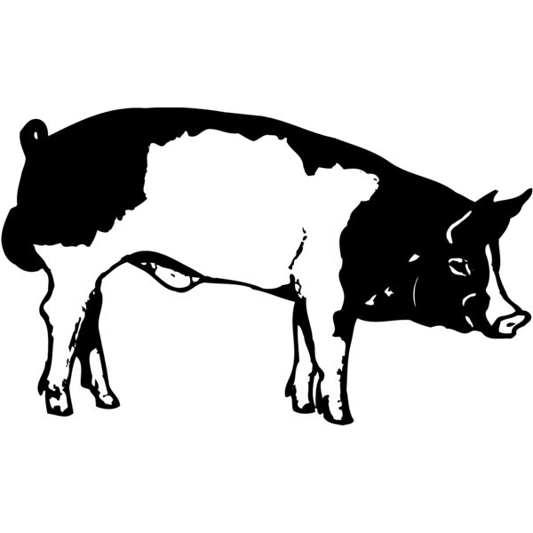 HOG0008 Thumbnail
